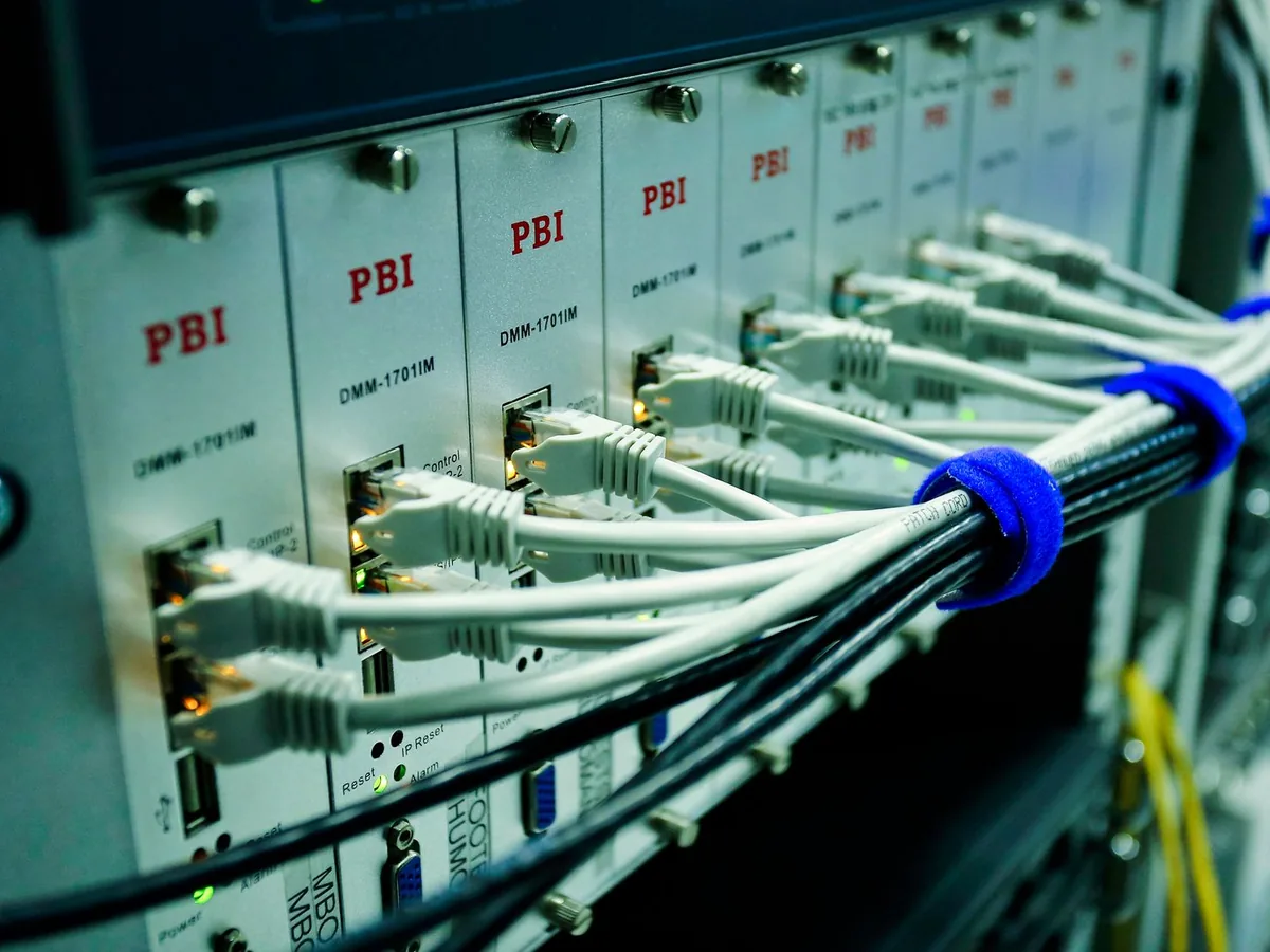 Ethernet cables connected to a network switch
